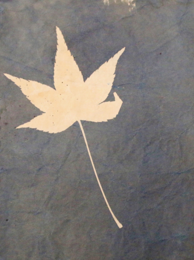 Lone Leaf